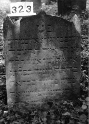 Grabstein 323 (Index: 99803500) Material: Sandstein Zustand: leicht verwittert Maße HxBxT: 79x56x13 cm Beschreibung: Stele mit Segmentbogenabschluß, Mittel-u. Seitenakroterien Symbolik: Mittel-und Seitenakroterien: Grabstein 323