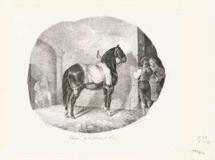 Cheval de la plaine de Caen, Blatt 6 der Folge "Etudes de Chevaux Lithographies"