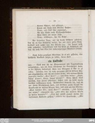 ein Kolkrabe
