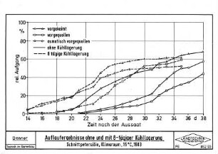 Auflaufergebnisse mit 8-tägiger Kühllagerung Schnittpetersilie, Klimaraum, 15 oC, 1983
