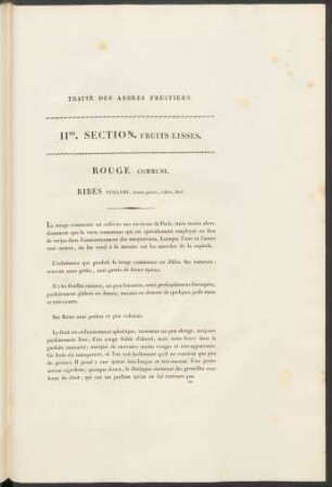 IIMe. Section. Fruits Lisses.