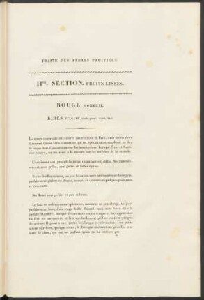 IIMe. Section. Fruits Lisses.
