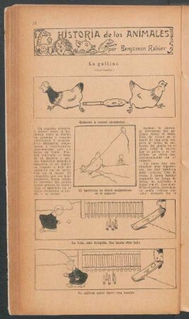 La gallina - (Conclusión) : Historia de los animales
