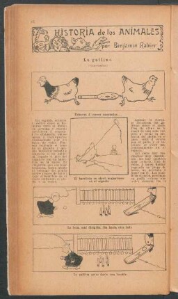 La gallina - (Conclusión) : Historia de los animales