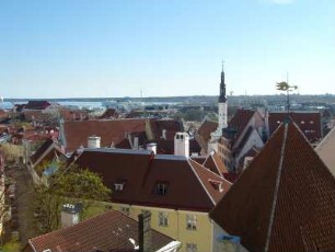 Tallinn: Altstadt mit Rathausturm