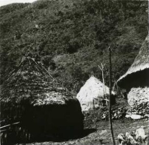 Tanzhütte, Hochzeitshütten, Versammlungshaus der Frauen in der Südlichen Paramos