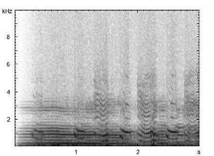 Hausesel | Equus asinus f. asinus - Lautfolge
