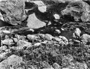 In der Sierra de Gredos : Felsen