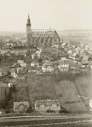 Schneeberg, Erzgebirge, St. Wolfgangskirche : Vom Abhang des Gleesberges aus gesehen