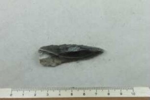 Silex