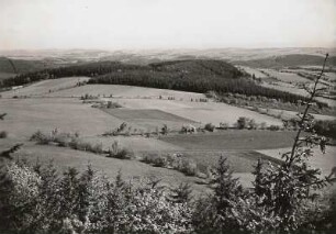 Altenberg-Geising, Geisingberg (824 m). Blick vom Turm der Sprungschanze nach Norden