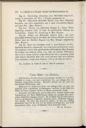Ueber Käfer von Eisleben