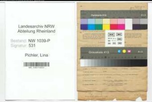 Entnazifizierung Lina Pichler , geb. 10.03.1907 ()