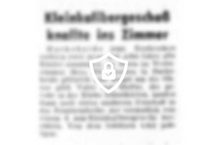 Kleinkalibergeschoß knallte ins Zimmer