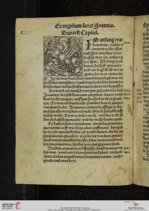 Euangelium sanct Joannis