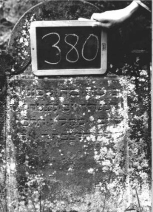 Grabstein 380 (Index: 99895805) Material: Sandstein Zustand: bewachsen Maße HxBxT: 100x60x13 cm Beschreibung: Stele mit eingezogenem Rundbogenabschluss Symbolik: Blüte: Grabstein 380 (2)