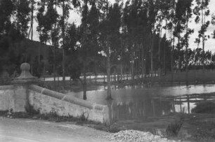 Überfluteter Wald (Lateinamerika-Aufenthalte 1934/1942 – 6. Kolumbien 1938-1942)