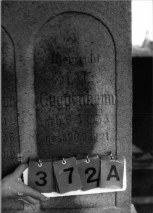 Grabstein 372 (Index: 100088258) Material: Kalkstein (?) Maße HxBxT: 206x117x30 cm Symbolik: Davidstern Besonderheit: Doppelgrab: Grabstein 372A