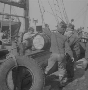 Stralsund. Fischereihafen, Fischer beim Löschen der Ladung