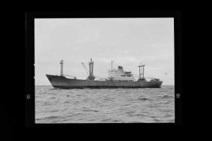 Albine Köbis (1965), Deutsche Seereederei, Rostock