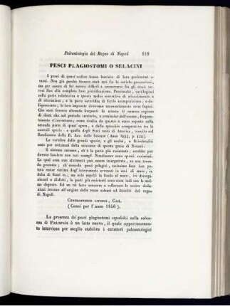 Pesci Plagiostomi O Selacini