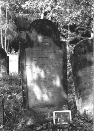 Grabstein 457 (Index: 99895616) Material: Sandstein Zustand: gut Maße HxBxT: 143x61x9 cm Beschreibung: Stele mit eingezogenem Rundbogenabschluss: Grabstein 457