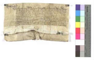 Propst Heinrich von Ellwangen verleiht dem Enderlin Sayler zu Ellwangen 1/3 von 2 Tagwerk Wiesen hinter der Stadtmühle zu Lehen.