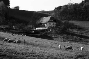 Hof am Waldrand von Unterneuhäuser bei Kirchzarten
