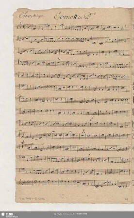 Corno II in D