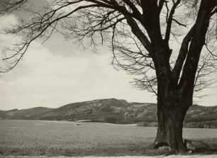 Czorneboh. Blick von der Straße Cunnewalde - Löbau