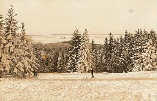 Erzgebirge. Winterwald bei Schellerhau (sog. Vergnügungseck)