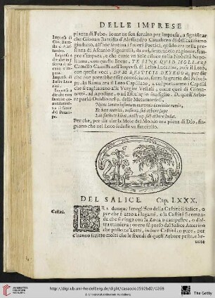 Cap. LXXX. Del Salice