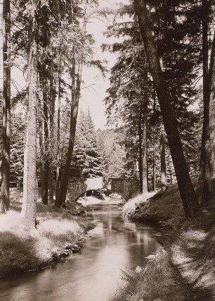 Prießnitzgrund mit Kuhschwanzbrücke : Dresdner Heide, Kuhschwanzbrücke über die Prießnitz, Blick flussabwärts