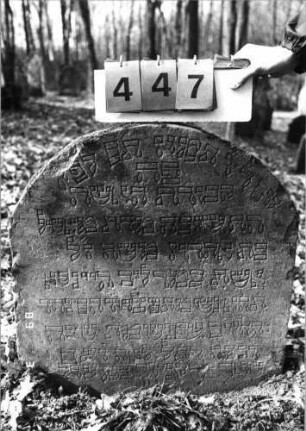 Grabstein 447 (Index: 99752806) Material: Sandstein Zustand: gut Maße HxBxT: 72x68x10 cm Beschreibung: Stele, Segmentbogenabschluß: Grabstein 447