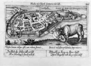 Gotha und Grimmenstein in Thüringen, Ansicht mit Szene (aus Fürst, Sciographia Cosmica, Nr. B 4)