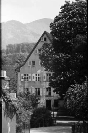 Müllheim: Haus an der Kastanie; Hintergrund Blauen