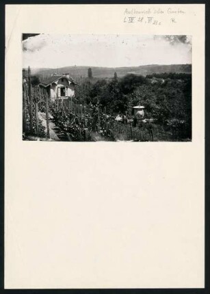 PA 7036, Garten von Professor Ferdinand von Autenrieth.