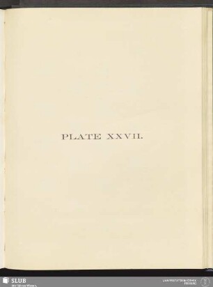 Plate XXVII