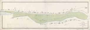Plan über die Wiesen zum Metzlinschwaner Hof gehörig im Mutterthale bei Frauenalb