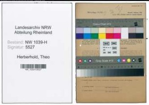Entnazifizierung Theo Herberhold , geb. 19.03.1910 (Arzt)