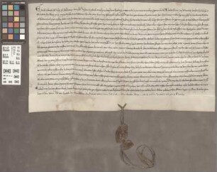 Mainz (Franziskaner): Bulle Papst Alexander IV. die Minoriten betreffend