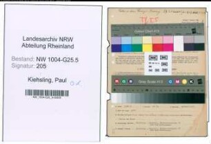 Entnazifizierung Paul Kiehsling , geb. 03.11.1881 (Faerbemeister)