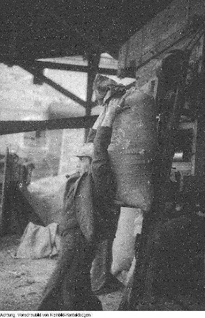 Guttau-Brösa, Ernte, 1947