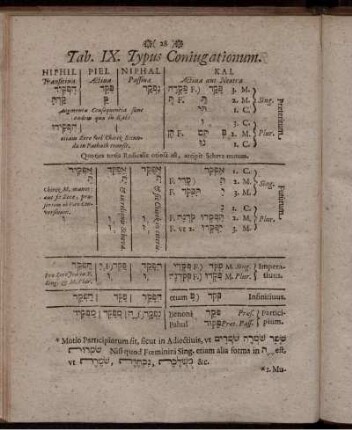 Tab. IX. Typus Coniugationum