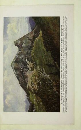 Höhenvegetation am Roßstein (1700 m) bei Bad Kreuth in den Bayrischen Alpen. Frühlingsbild