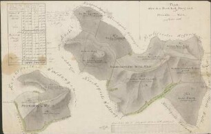 Plan über den herrschaftl. Iburg und Steinische Wald