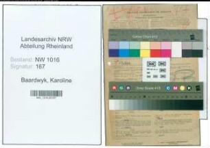 Entnazifizierung Karoline Baardwyk , geb. 04.04.1889 (Lehrerin)