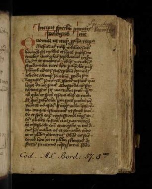 Alanus de Rupe: Speculum peccatricis animae