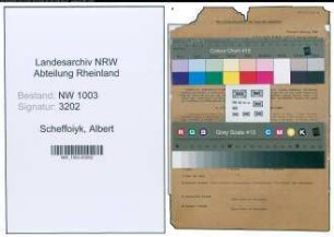 Entnazifizierung Albert Scheffoiyk , geb. 11.10.1908 (Verw.Angestellter)