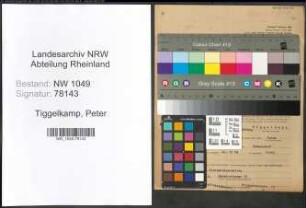 Entnazifizierung Peter Tiggelkamp , geb. 08.09.1904 (Verkaufsleiter)